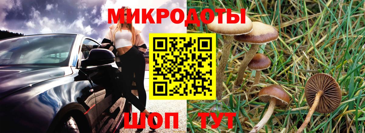 Галлюциногенные грибы MAGIC MUSHROOMS Нягань