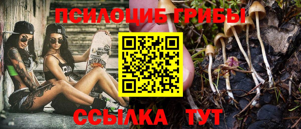 Галлюциногенные грибы Magic Shrooms  где продают   Вход с VPN  Нягань  Галлюциногенные грибы Cubensis 